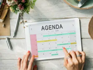 calendario editorial